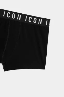 Icon Trunk